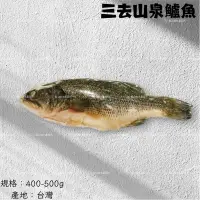 在飛比找蝦皮購物優惠-鮭山島 水產超市 山泉鱸魚 三去 400-500g 山泉 鱸