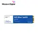 WD 藍標 SA510 250GB M.2 2280 SATA SSD 現貨 蝦皮直送