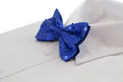 Mens Royal Blue Sequin Patterned Bow Tie