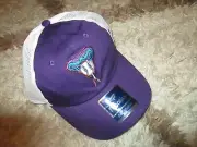 Arizona Diamondbacks Hat Snapback Adjustable OS Fanatics Purple/ White Mesh NEW