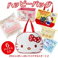 在飛比找Yahoo!奇摩拍賣優惠-(現貨在台)日本正品Sanrio 三麗鷗 福袋 肩背包 帆布