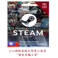 在飛比找蝦皮購物優惠-肉包 台幣 NT 300 點數卡 PC版 STEAM 美國官