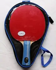 Palio 2Star Expert Table Tennis Bat with Free Case, New, Aussie Seller