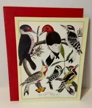 VTG 1996 Blank Greeting Card UNUSED Galison Books Gorgeous Art Woodpeckers