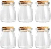 Magic Season Decorative Glass Bottles with Cork Stoppers (100 ml Pudding Bottles / 6 Pcs)