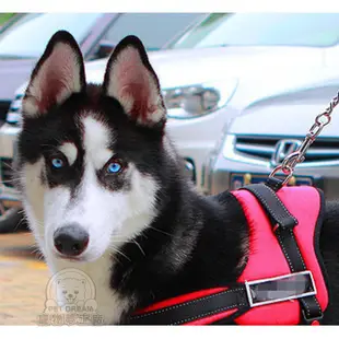 中大型犬牽繩 通用款 反光牽繩 中大型犬胸背帶 大型犬牽繩 中型犬胸背帶 狗牽繩 寵物牽繩