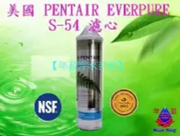 在飛比找Yahoo!奇摩拍賣優惠-【年盈淨水百貨】美國 PANTAIR  EVERPURE S