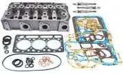 Cylinder Head Valves Gasket Glow Plugs For Steiner 230
