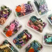 Hot 1Box Dried Flowers For DIY Art Craft Epoxy Resin Jewellery Making BEST K0G1