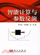 在飛比找三民網路書店優惠-智能計算與參數反演（簡體書）