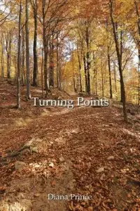 在飛比找博客來優惠-Turning Points