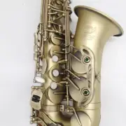 Brand New Alto Saxophone with Antique Matte Professional Performance Saxophone