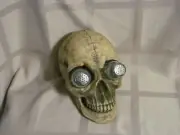 Deadly Devourings New In Box World of Wonders Skull Salt & Pepper Shakers RARE