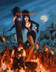 Cassandra Peterson "Elvira" "Mistress of the Dark" SEXY "Pin-Up" PHOTO! #(186)