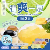 在飛比找環球Online優惠-【清原】檸檬愛玉凍+冬瓜茶凍+嫩仙草凍 三款任選x5盒(消暑