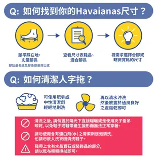 Havaianas 哈瓦仕 拖鞋 男女鞋 迪士尼100週年紀念 米奇 米妮 唐老鴨 灰 4148618-5178U