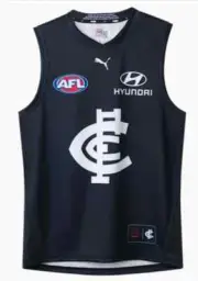 Carlton Blues 2025 AFL Kids Home Guernsey Sizes 6-16 BNWT