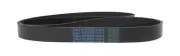 D&D DURA-PRIME 923K20 Poly V-belt