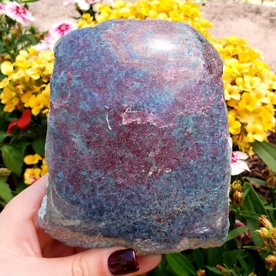Ruby Kyanite Large semi polished Natural Crystal healing Gemstone specimen