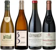 French Wine Bundle