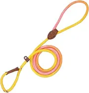 Straps for Dogs - Puppy Walk Strap Nylon Rope No Pull | Escape-Proof Anti-Slip Animal Accessories Outdoor Use for Small Medium Large Dogs