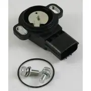 RAE Throttle Position Sensor - TP101