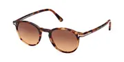 Tom Ford FT0539 ANDREA-02 53F Men's Sunglasses Tortoiseshell Size 48