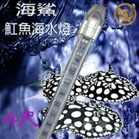 在飛比找蝦皮購物優惠-【柯家水族客棧】（限嘉義台南地區）(免運) 海鯊 海水魟魚燈