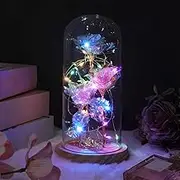 Whaline Forever Artificial Roses in Glass Dome with Pink Gift Box Romantic Flower with LED Lights Galaxy Colorful Enchanted Rose Beauty and The Beast Rose for Valentine's Day Thanksgiving Birthday