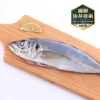 在飛比找誠品線上優惠-【安永鮮物】安永鮮凍_台灣野生竹筴魚(100g/包)