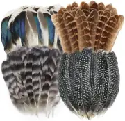 40pcs Natural Pheasant Feathers Spotted Feathers Turkey Feathers DIY Hat Decor