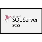 【 微軟經銷商】SQL SERVER 2022 2019 標準版 永久授權版 (可降階2017資料庫)