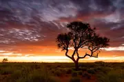8-Day Pilbara 4WD Adventure - Kumarina