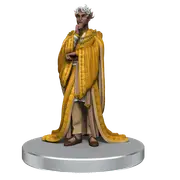 Critical Role NPCs of Wildemount