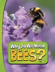 Why Do We Need Bees? by Laura K. Murray Paperback Book