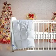 Continental Bedding Sleeping Toddler Comforter Duvet (Goose Down, 33x42)