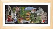 Thea Gouverneur - Counted Cross Stitch Kit - Japan Black - Aida Black - 18 Count - Embroidery Kit for Adults - DMC Embroidery Threads and Other Cross Stitch Supplies Included - 548.05