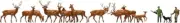 Faller #155511 1/160 Deers and hunters