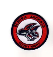 Elmira Jackals, New York Hockey Team, Scout Night, Purple Border, Sports Patch