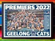 Framed 2022 GEELONG CATS AFL Premiers Poster - 62cm x 44.5cm x 3cm