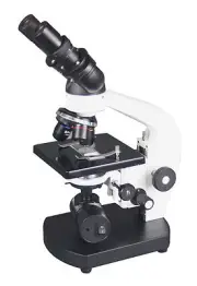 800x Binocular Student Biology Cordless LED Medical Compound Vet Doc Microscope