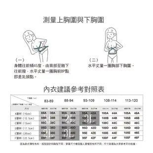 【AREXSPORT】AS-7433 加大碼內衣/ XL-3L/涼感機能美背吸排透氣網眼中高強度可調節BRA運動內衣