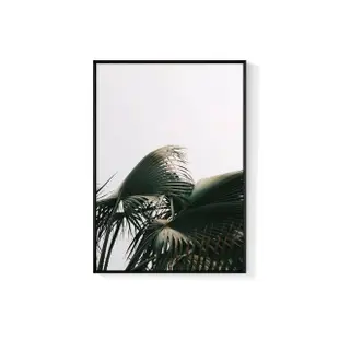 【菠蘿選畫所】盛夏時分-42x60cm(北歐/攝影/客廳掛畫/複製畫/居家裝飾/餐廳佈置/牆壁裝飾)