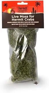 Fluker's Live Moss for Hermit Crabs, 0.5 Oz