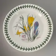Portmeirion Botanic Garden Bread Plate 7.25” Galanthus Snow-Drop Crocus