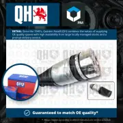 Air Suspension Spring fits PORSCHE CAYENNE 9PA 3.0D Rear 09 to 10 M05.9D Bag QH