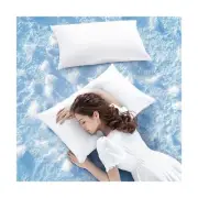 LBRO2M Canada Goose Down Pillow King Size 1050 Fill Power 100% Cotton Pillowc...