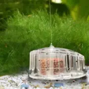 Pest Catch Box Fish Tank Cleaning Tool Snail Trap Catcher Snail Removal Device