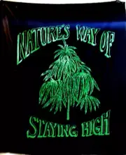 NATURE'S WAY-Screen Print/Banner /Tapestry/Poster/36"X48"/Green ink on Black