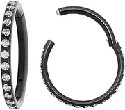 [Pierced Koala] 2PCS Titanium Implant Grade 16G Gem Septum jewellery Hinged Segment Ring Body Piercing Nose Hoop Lip Clicker Tragus Daith Eyebrow Ring Helix Cartilage Rook Earrings